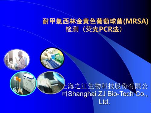 耐甲氧西林金黄色葡萄球菌MRSA检测荧光PCR法.ppt