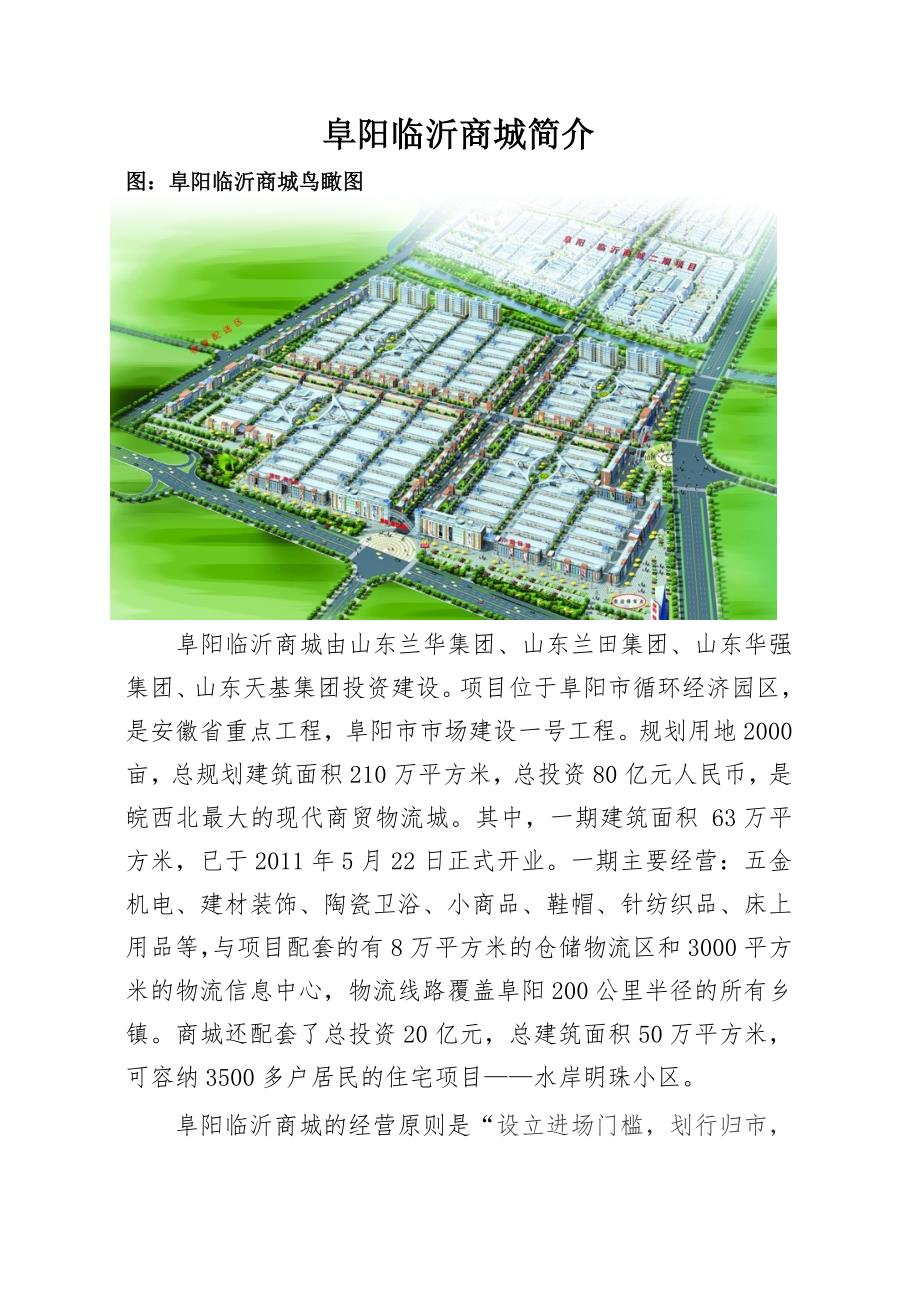 阜阳临沂商城简介.doc_第1页