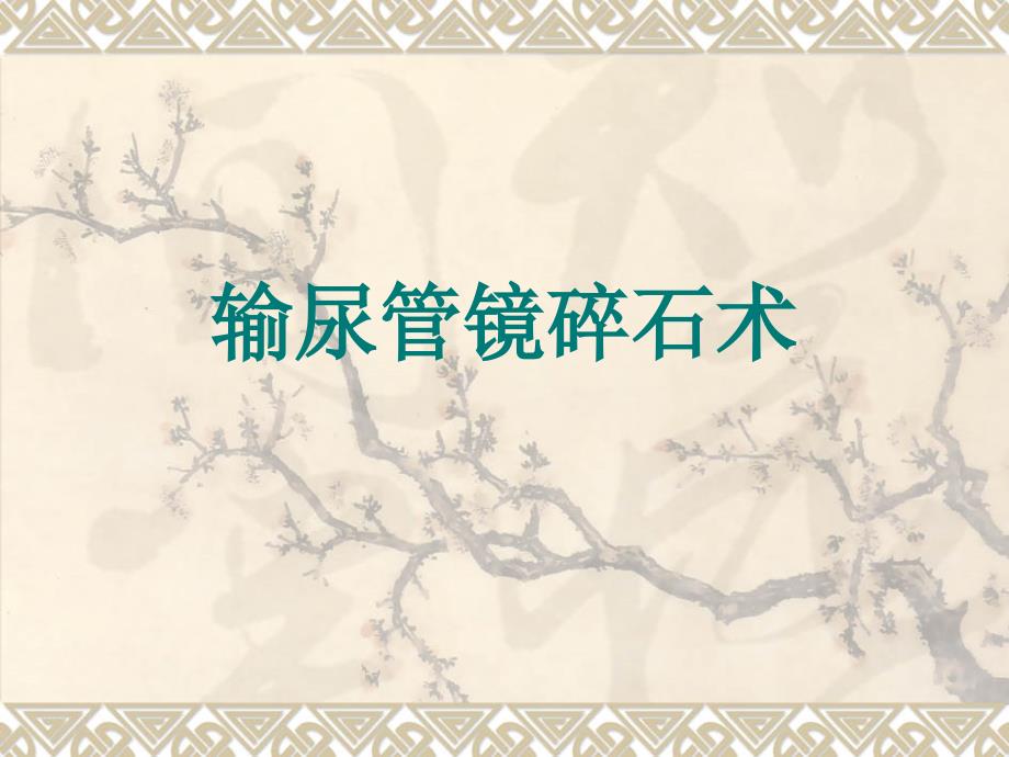 输尿管镜碎石术PPT课件.ppt_第1页