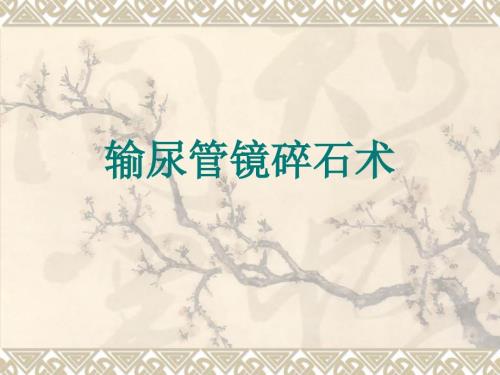 输尿管镜碎石术PPT课件.ppt