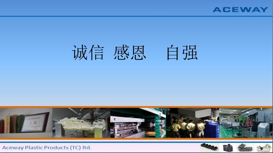诚信感恩自强.pptx_第1页