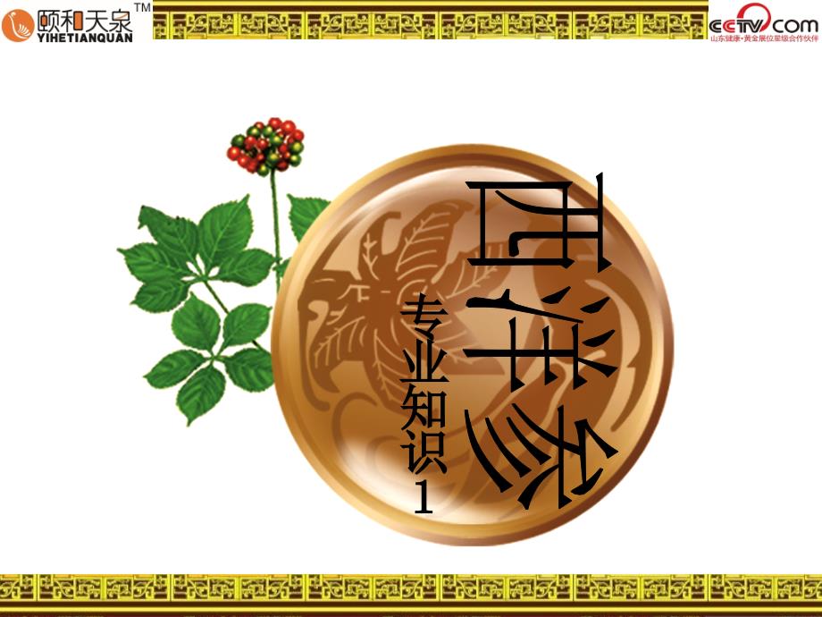 西洋参专业知识PPT课件.ppt_第1页
