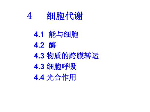 陈阅增普通生物学第1篇4细胞代谢ppt课件.ppt