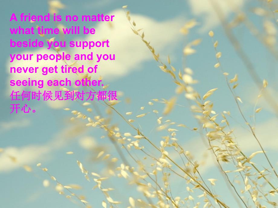 英语演讲友情.ppt_第2页