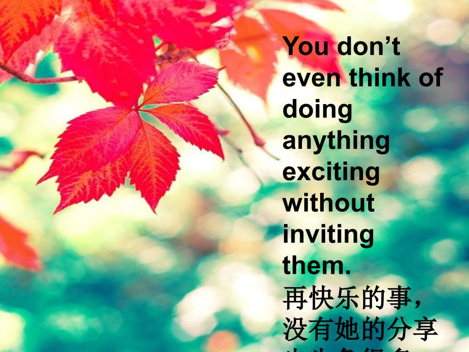 英语演讲友情.ppt_第3页