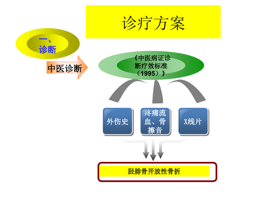 胫腓骨开放性骨折的中医诊疗方案.ppt_第2页