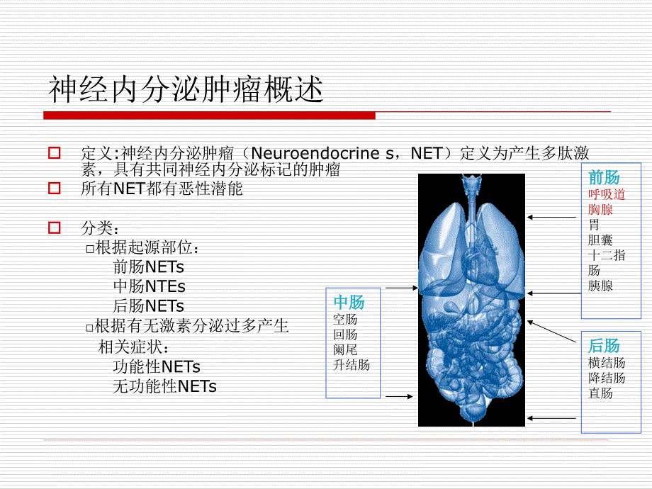 胃肠胰神经内分泌肿瘤的诊断与治疗郭仁宏.ppt_第2页