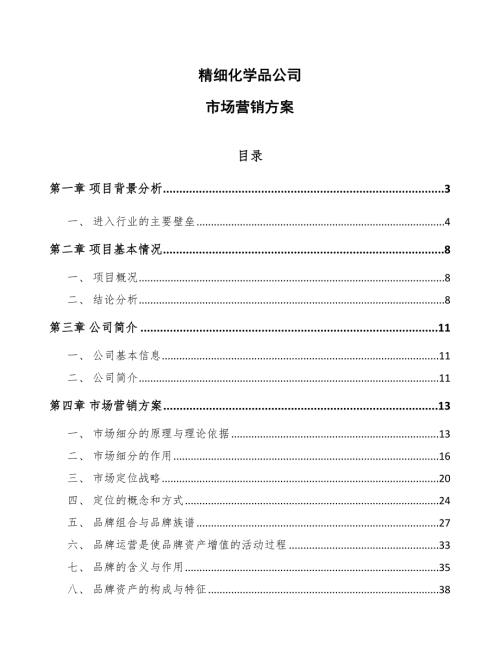 精细化学品公司市场营销方案范文.docx