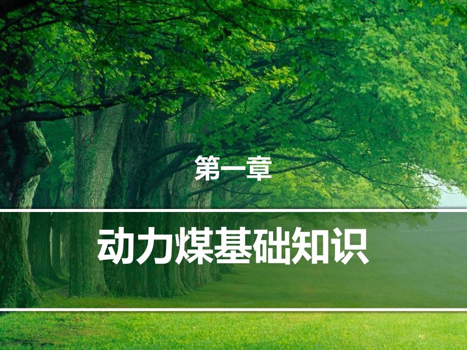 郑商所动力煤期货交割手册.ppt_第2页