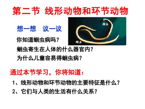 第二节线形动物和环节动物课件.ppt
