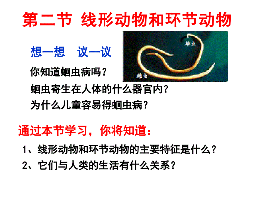 第二节线形动物和环节动物课件.ppt_第1页