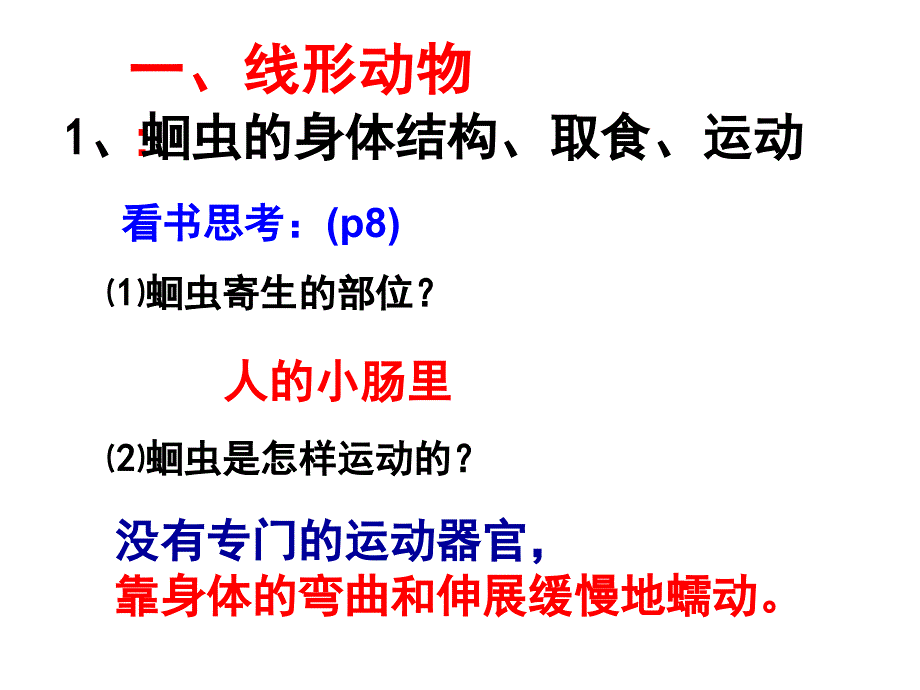 第二节线形动物和环节动物课件.ppt_第2页