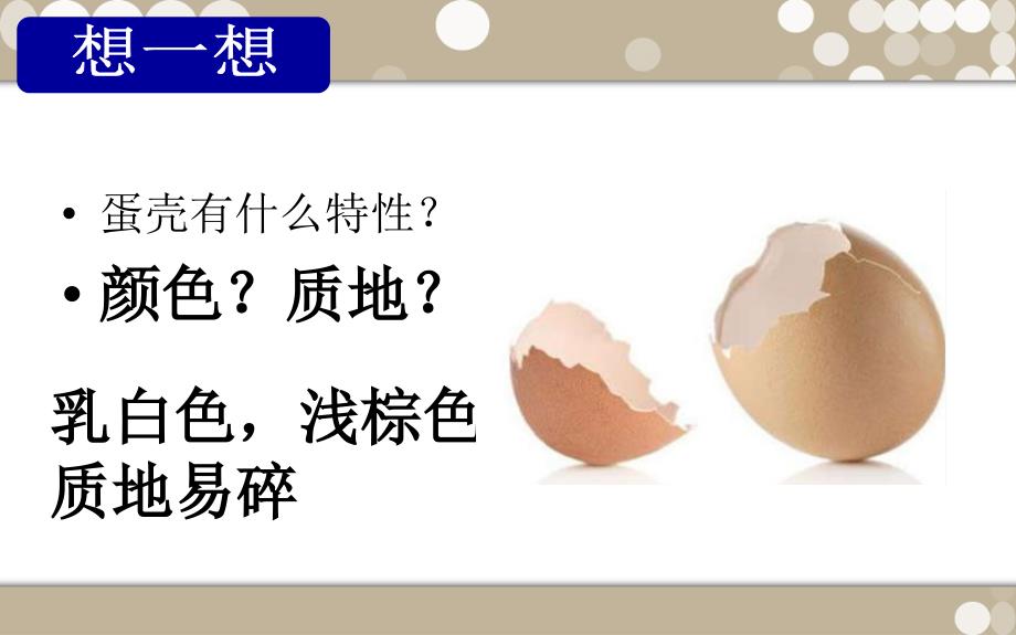 蛋壳创意玩具PPT课件.ppt_第2页