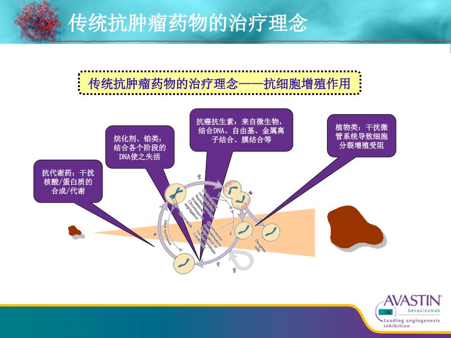 贝伐珠单抗从基础到临床.ppt_第2页