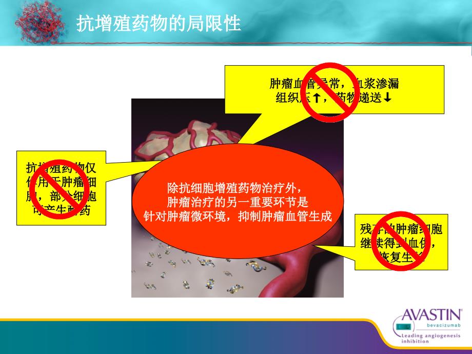 贝伐珠单抗从基础到临床.ppt_第3页