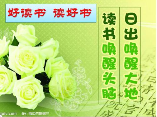 走进课外阅读综合实践活动课件.ppt
