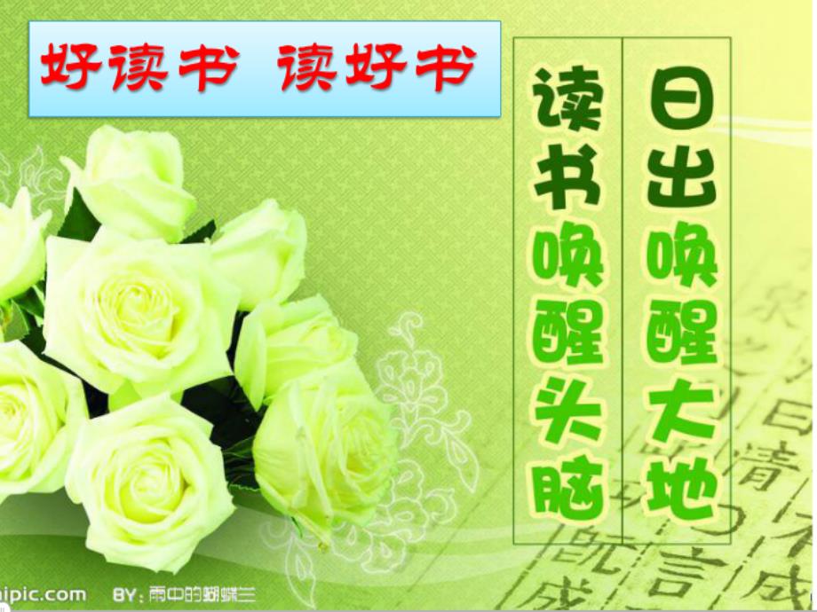 走进课外阅读综合实践活动课件.ppt_第1页