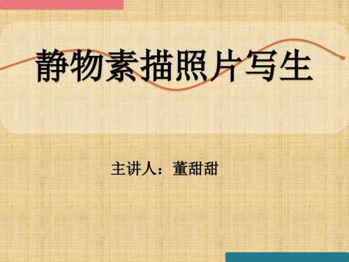 静物素描PPT课件.ppt