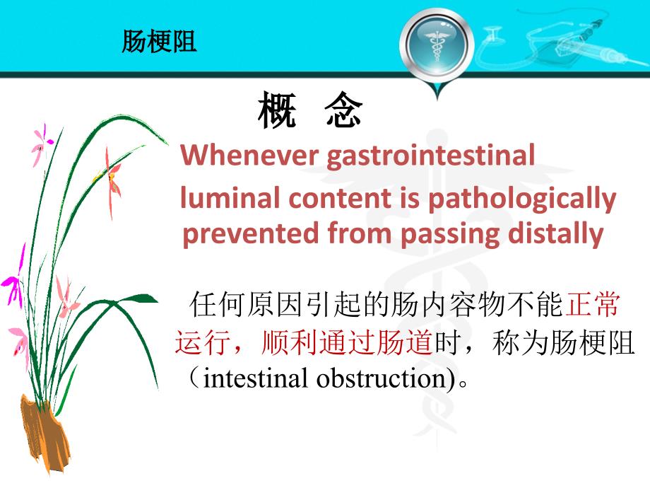 肠梗阻的诊断思维.ppt_第2页