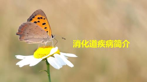胃肠道常见疾病介绍ppt课件.pptx