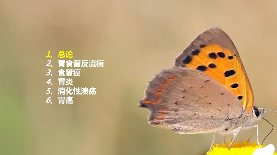 胃肠道常见疾病介绍ppt课件.pptx_第3页