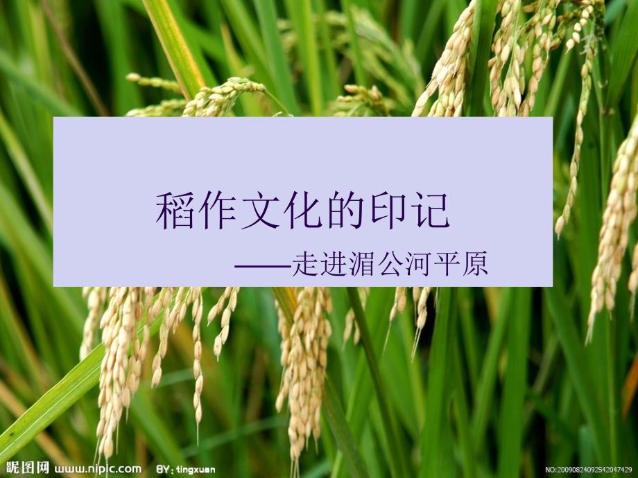考点7描述世界国家地区的自然环境比较人们社会生活和风土人情.ppt_第2页