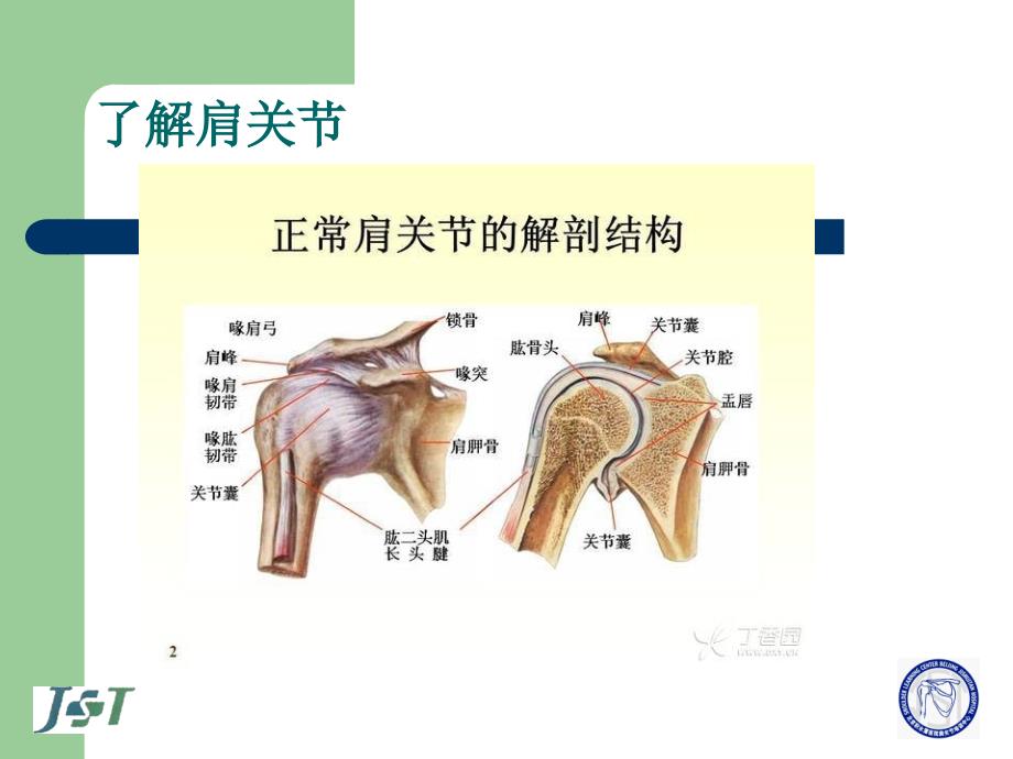肩关节镜术后的康复图文.ppt_第2页