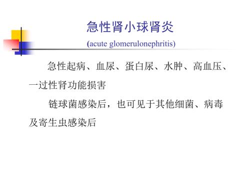 肾小球肾炎PPT课件.ppt