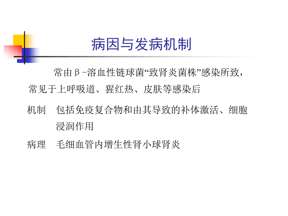 肾小球肾炎PPT课件.ppt_第2页
