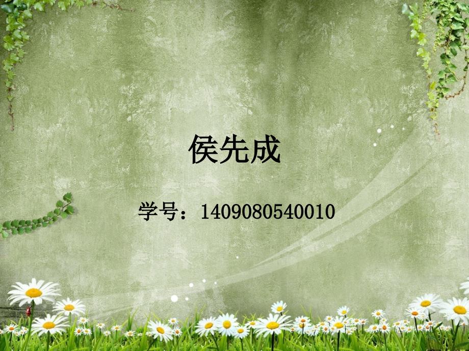 贵州旅游路线PPT报告.ppt_第2页