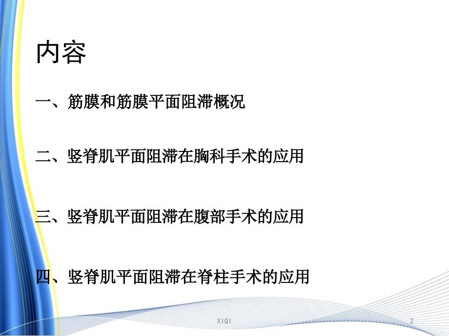 超声引导下竖脊肌阻滞在临床应用.ppt_第2页