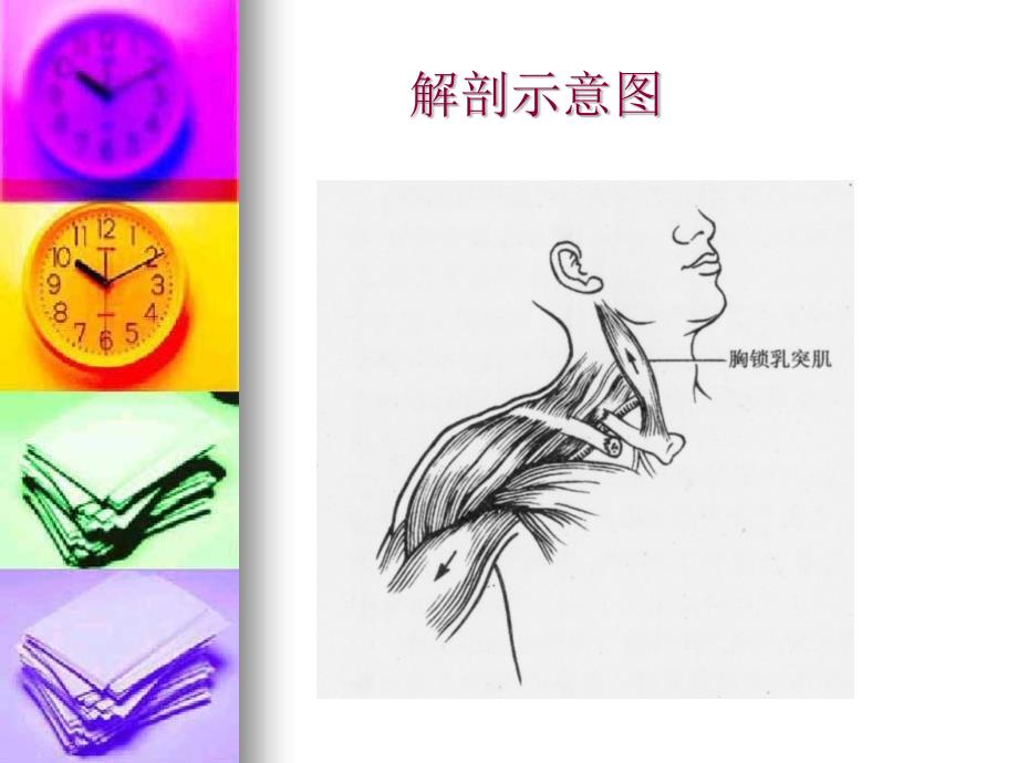 锁骨骨折的护理PPT课件.ppt_第3页