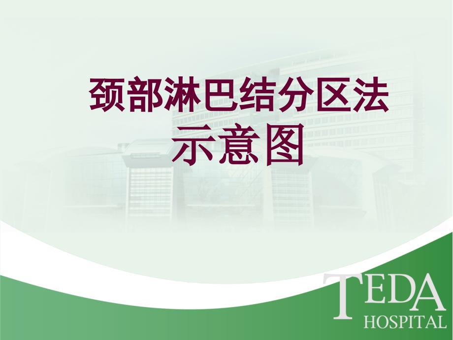 颈部淋巴结分区示意图.ppt_第1页