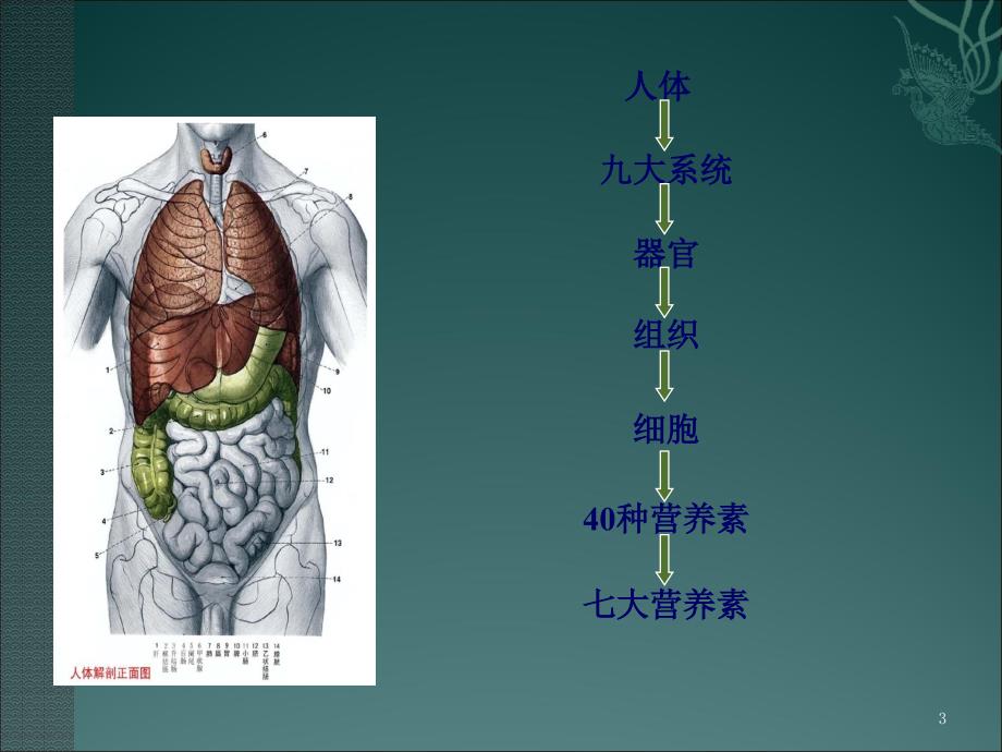 营养与健康之7大营养素ppt课件.pptx_第3页