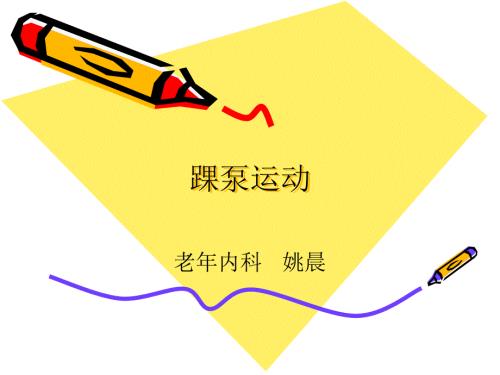 踝泵运动ppt课件.ppt