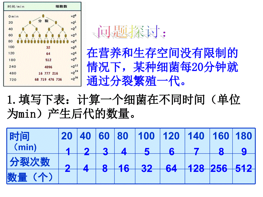 种群数量的变化PPT课件.ppt_第2页