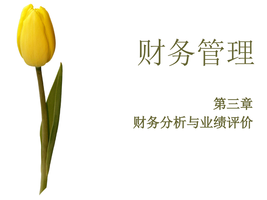 财务分析与业绩评价.ppt_第1页