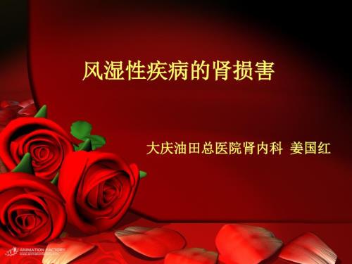风湿性疾病的肾损害.ppt