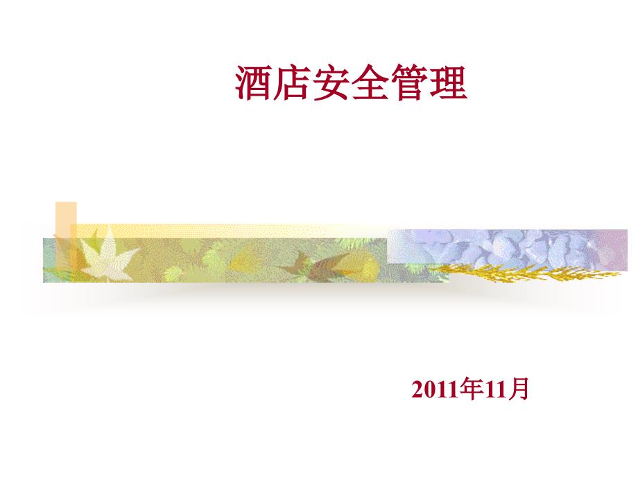 酒店安全管理PPT课件.ppt_第1页
