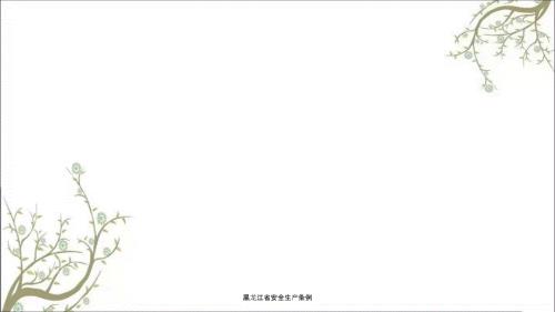 黑龙江省安全生产条例PPT课件.ppt