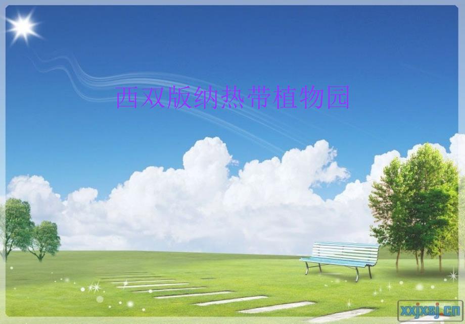 西双版纳热带植物园.ppt_第1页