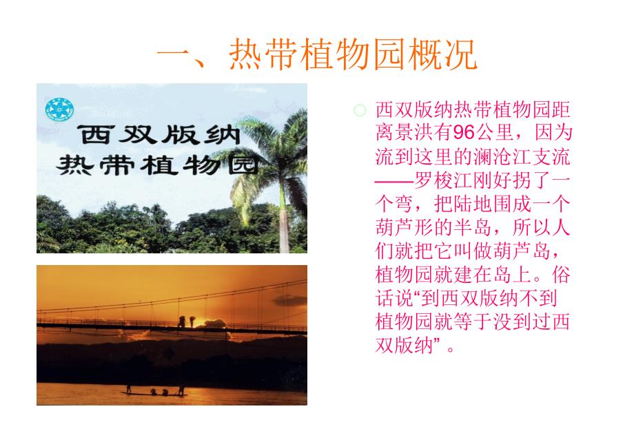 西双版纳热带植物园.ppt_第2页