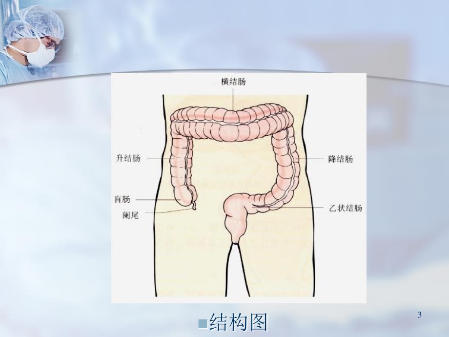 结直肠癌护理ppt课件.ppt_第3页