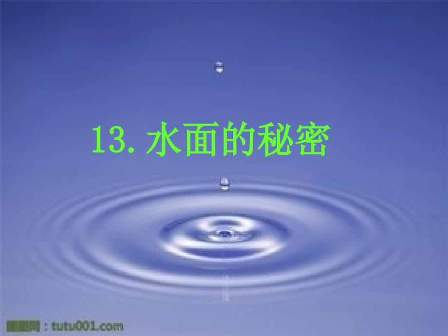青岛版三年级科学上册末复习最新版.ppt_第2页