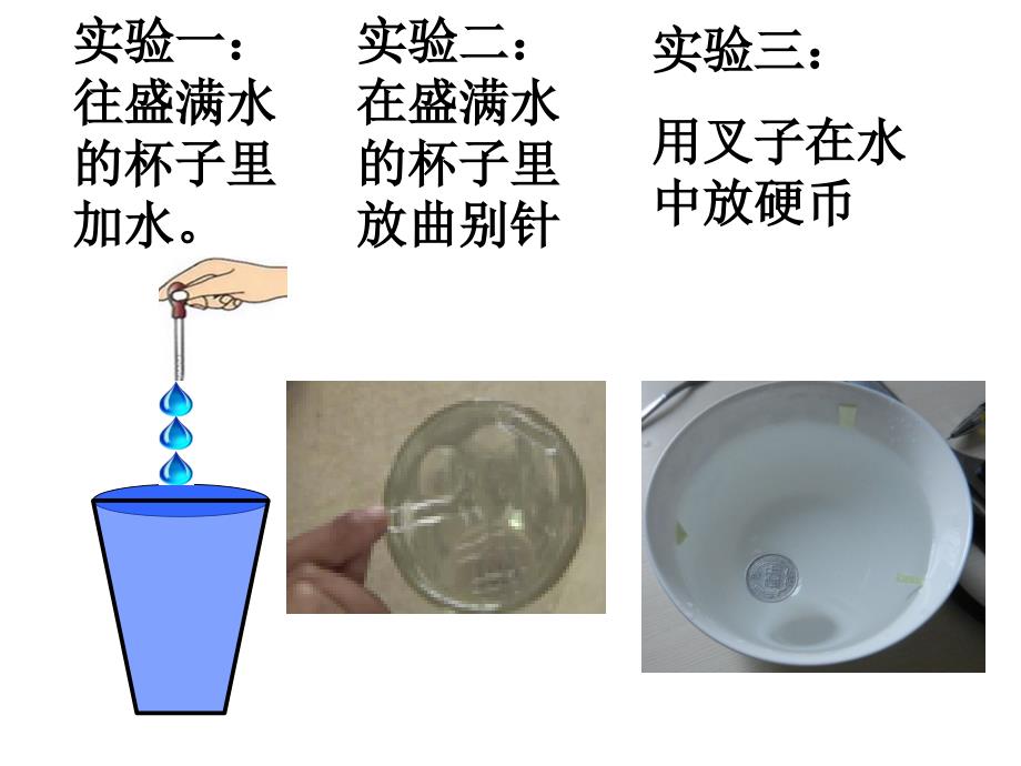 青岛版三年级科学上册末复习最新版.ppt_第3页