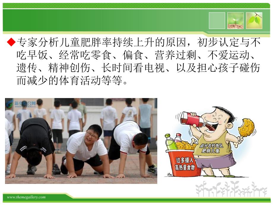 青少年肥胖及预防ppt课件.ppt_第3页
