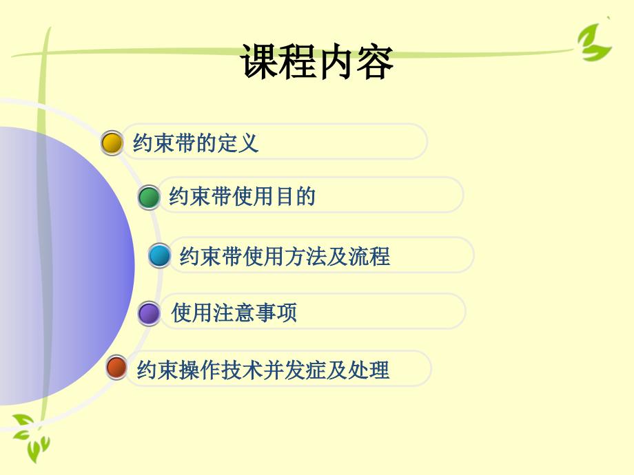 约束带的使用ppt课件.pptx_第2页