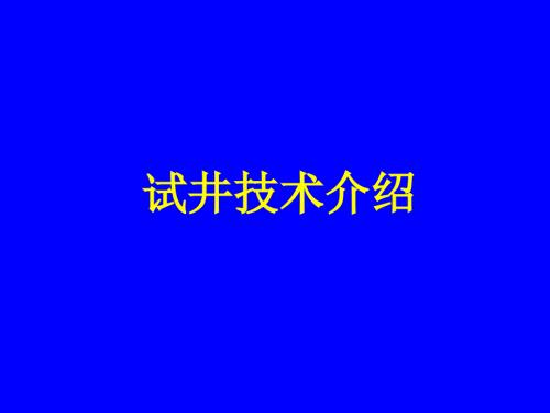 试井技术介绍PPT课件.ppt