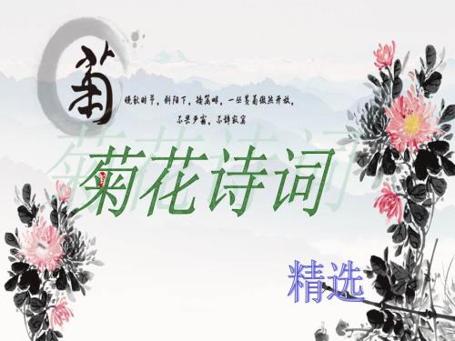 菊花诗词精选PPT课件.ppt