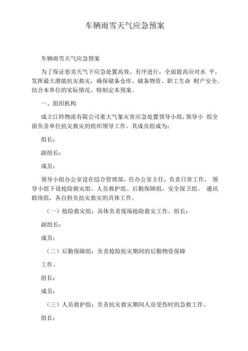 车辆雨雪天气应急预案.docx